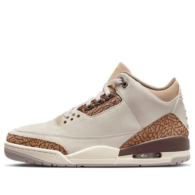 Air Jordan 3 Retro 'Palomino'  CT8532-102 Epochal Sneaker